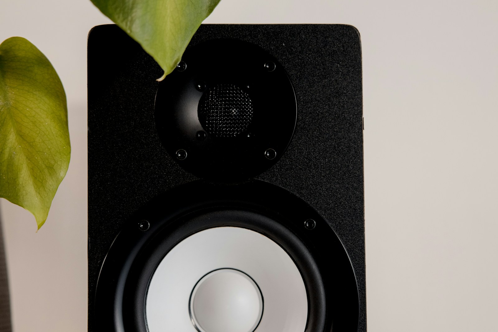 Yamaha HS8 studio monitor in front view with the white cone isolated against a plain background